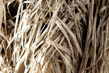 Dry grass as abstract background