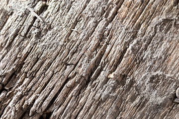 Fototapeta premium Old wooden board as abstract background