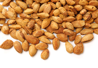 apricot kernel isolated on white background