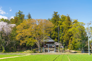 神社07