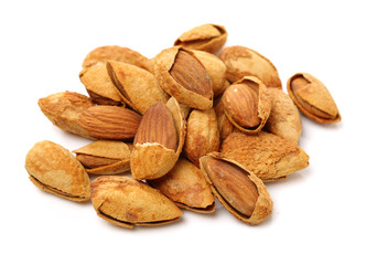 apricot kernel isolated on white background