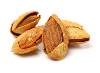 apricot kernel isolated on white background