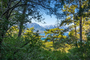 The coast of Mediterranean sea