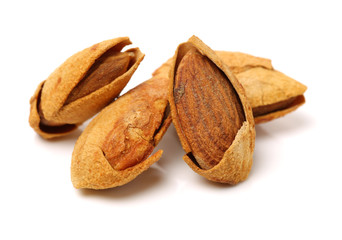 apricot kernel isolated on white background