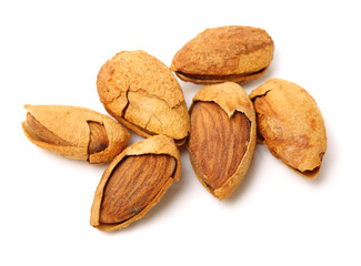 apricot kernel isolated on white background