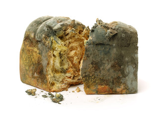 Moldy bread on white background