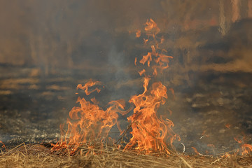 fire in the field / fire in the dry grass, burning straw, element, nature landscape, wind