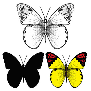butterfly lines and butterfly silhouette, colorful butterfly