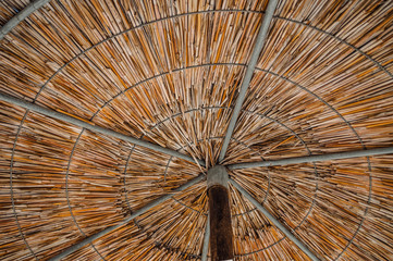 umbrella view on the beach
