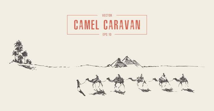 Caravan camels oasis desert drawn vector sketch