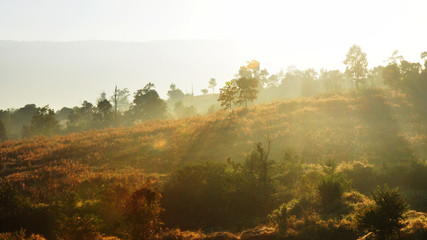 Obraz premium landscape mountain