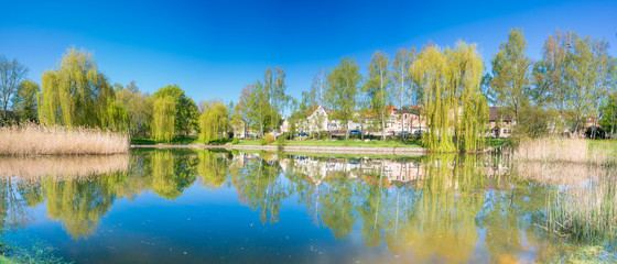 Summer landscape panorama