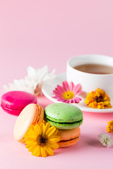 Obraz na płótnie Canvas Still life and food photo of cake macarons in a gift box with flowers, a cup of tea on light background. Sweets and desserts concept of macaroons.