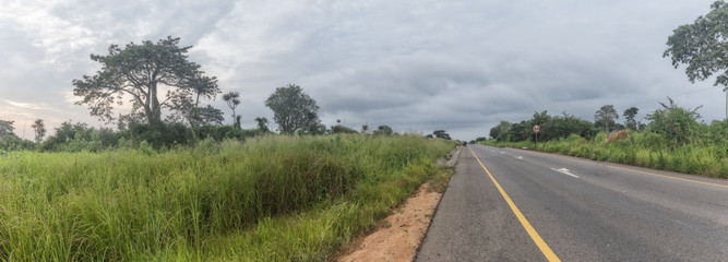 Beautiful baobab tree with light of sunrise and vegetation. With asphalt road. Angola.