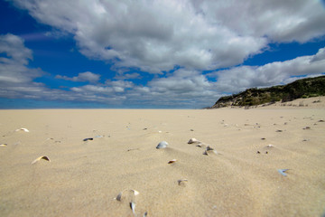 Muschelparadies
