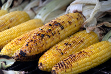 Roasted corn cob barbecue