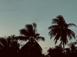 Beauty lies in darkness 