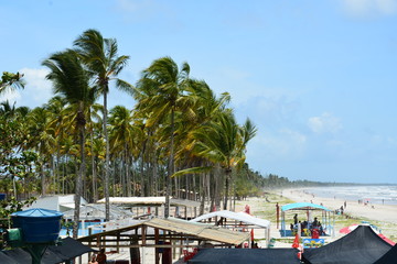 canavieiras - bahia 