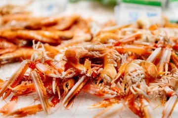 Fresh raw lobsters on ice. Fish and seafood market