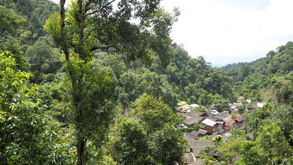 Fototapeta na wymiar Small village in the valley. Mountain viewpoint at mae kampong village, chiang mai province, thailand.