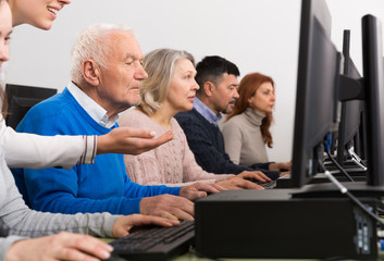 Fototapeta premium Focused senior man during computer classes