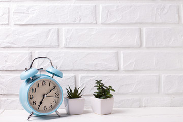 Alarm clock and  potted succulents plants.