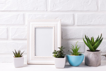 Empty frame mockup and succulents and cactus plants