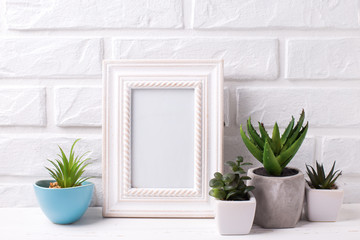 Blank  frame mockup and succulents and cactus plants in pots