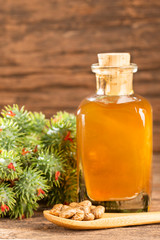 Beans and castor oil - Ricinus communis