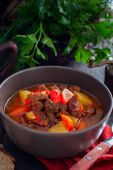 Traditional Hungarian goulash on a wooden table, selective focus