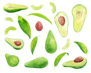 Watercolor hand drawn set with avocado fruits half and slice, and leaves isolated on white background