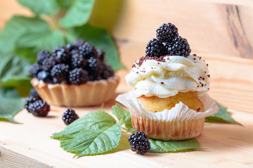 Blackberry cakes with berries.