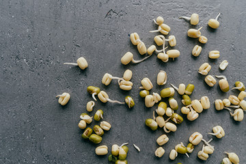 Fototapeta na wymiar Flat lay of sprouted mung beans for culinary use, isolated over grey background. Fresh organic vegan food. Healthy nutrition concept