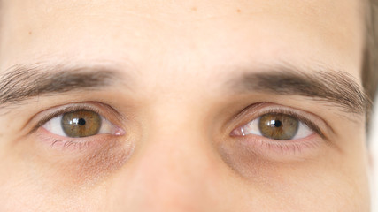 Close up of a male eyes. Detail of a brown eyes of a man looking at camera.