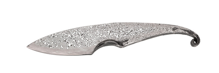 Damascus steel hunting knife isolate on white back