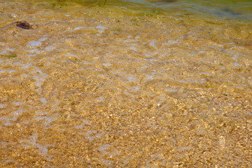 Soft wave of the sea on the sandy beach. Sandy beach and sea surf. Background. Place for your text