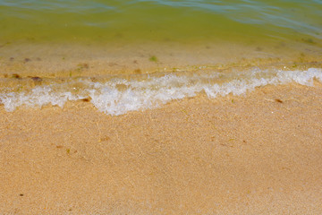 Fototapeta na wymiar Little frothy waves of the sea on the sandy beach. Foamy wave rolls on the Golden sand of the beach