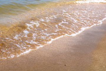 Little frothy waves of the sea on the sandy beach. Foamy wave rolls on the Gglden sand of the beach