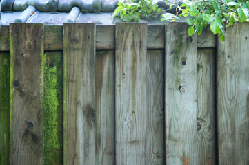 wooden fence