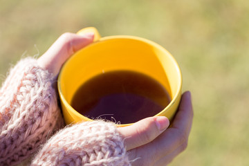 Portrait of pretty young woman in stylish knitted sweater standing on the golden autumn forest on sunny day	