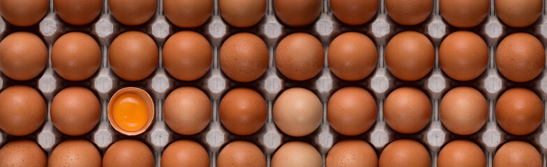 Horizontal banner with even rows of brown chicken eggs and a bright yolk in the lower left corner on a cardboard stand