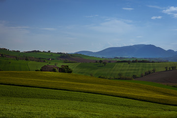 Fototapeta na wymiar Paesaggio rurale
