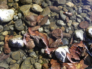 река выдринная бурятия весна