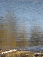 чистые воды