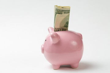 Pig piggy bank on the background of 100 US dollar bills and physical coins of bitcoins. Concept of wealth and exchange.