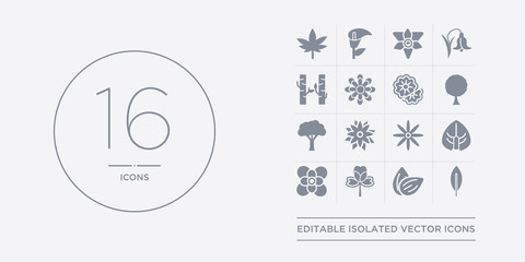 16 vector icons set such as acicular, almond, alstroemeria, anemone, anthurium contains aster, astrantia, baobab, beech. acicular, almond, alstroemeria from nature outline icons