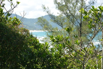 Obraz premium garopaba - sc