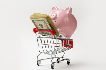 Piggy bank on a grocery cart with dollars. The concept of buying goods in the store.