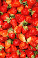  Red strawberries pattern in market box 