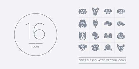 16 vector icons set such as mudi dog, newfoundland dog, norfolk terrier dog, nova scotia duck tolling retriever otterhound contains papillon pekingese pitbull plott hound mudi newfoundland norfolk